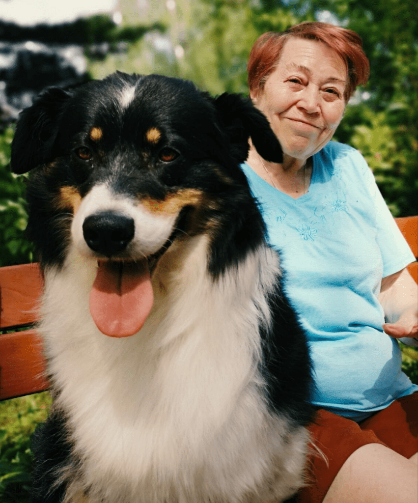 Siloe 5 | SILOE Ostrava, domov se zvláštním režimem